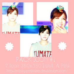 Pack Icon #1 (350x350)