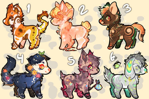 Canine Adopts (6/6 OPEN)