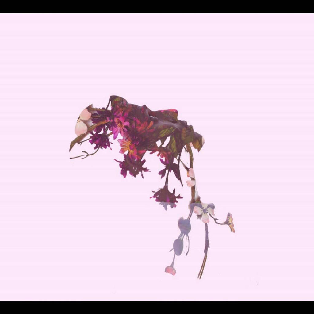 Findhuma Flower human flower by Anthony33894 on DeviantArt