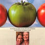 Fried Green Tomatoes  Poster  By Easyandytaxish Dg