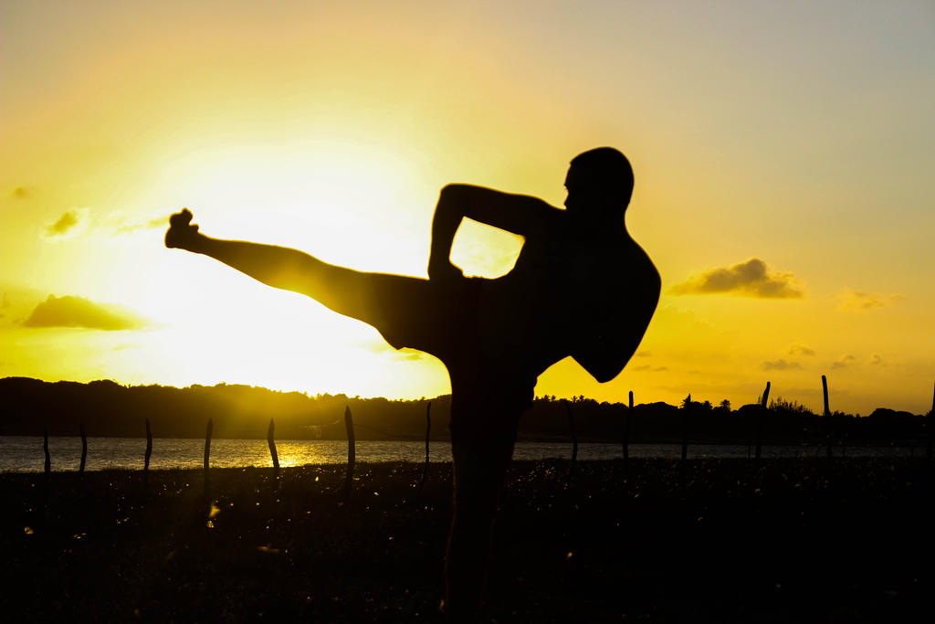 Sun Rising Kick Kick in sun by Voltrotz on DeviantArt