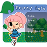 Animal Crossing Friend Info