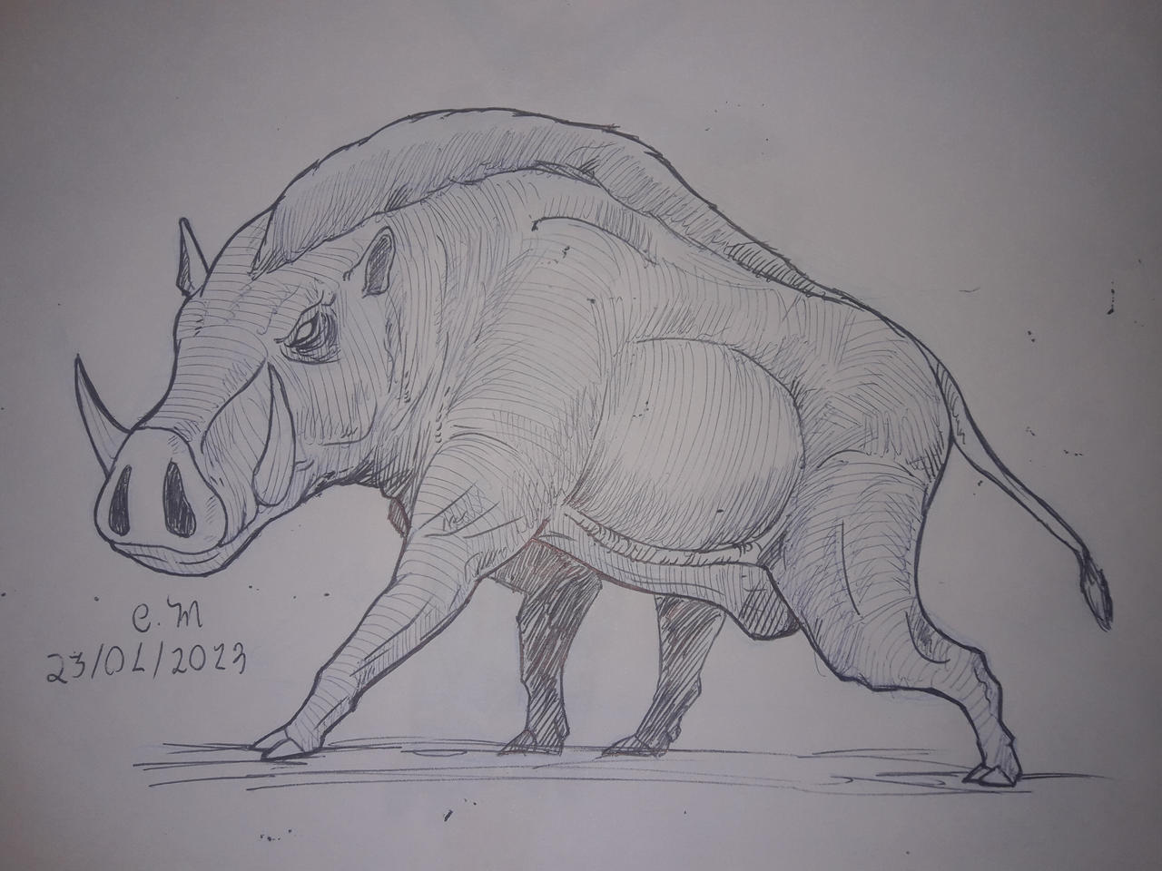 Boar Monkey Deviantart Boar by CmdtM0desti4 on DeviantArt
