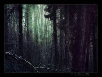 Dark Forest One