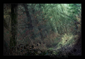 Dark Forest Two
