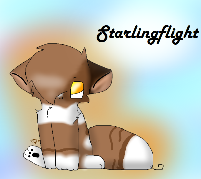 Starlingflight