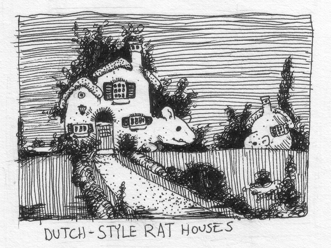 Dutch-Style Rathouses