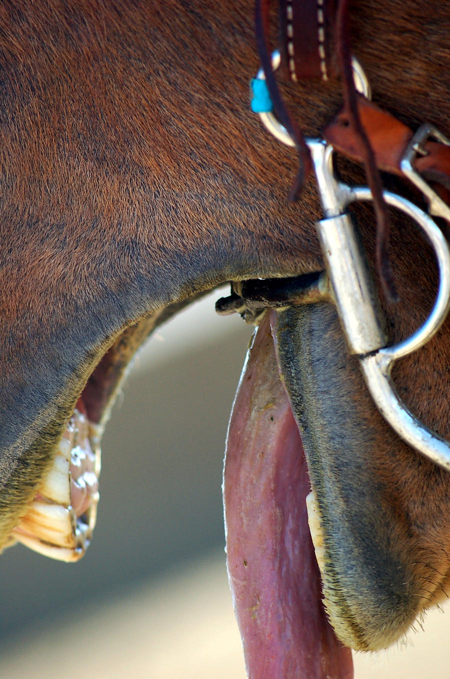 Yawning Dani