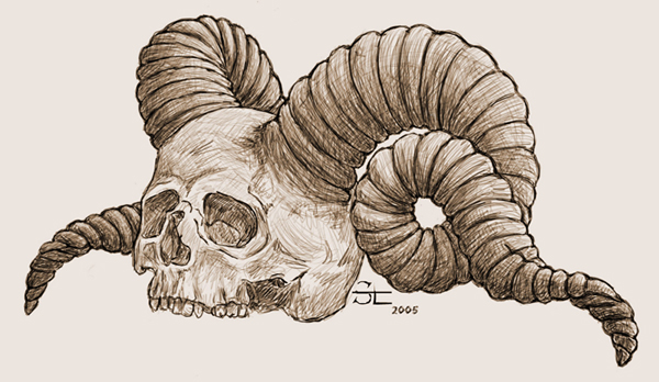 faun skull