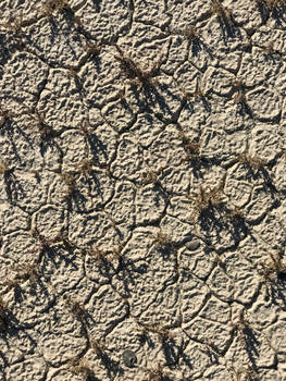 playa textures and saltlover