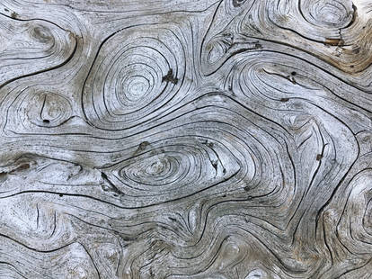 Douglas fir burl surface