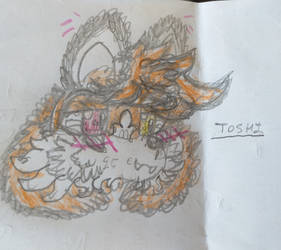 Toshi!