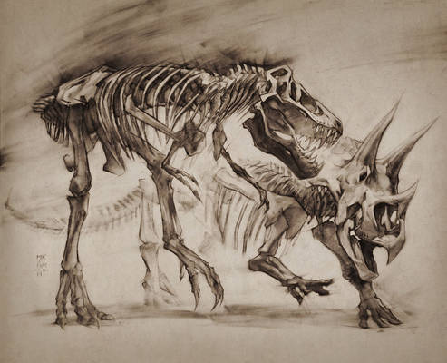 T-Rex vs Triceratops study, LANHM 2015