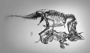 NMONH T-Rex vs Triceratops 2019