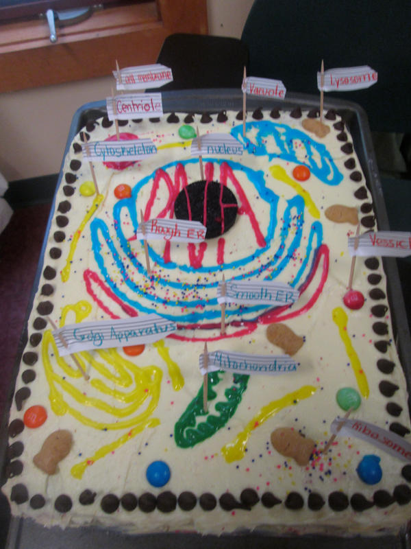 Photo, Animal Cell Cake, Science Project by xkittykatx3 on DeviantArt
