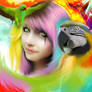 parrots- color of life