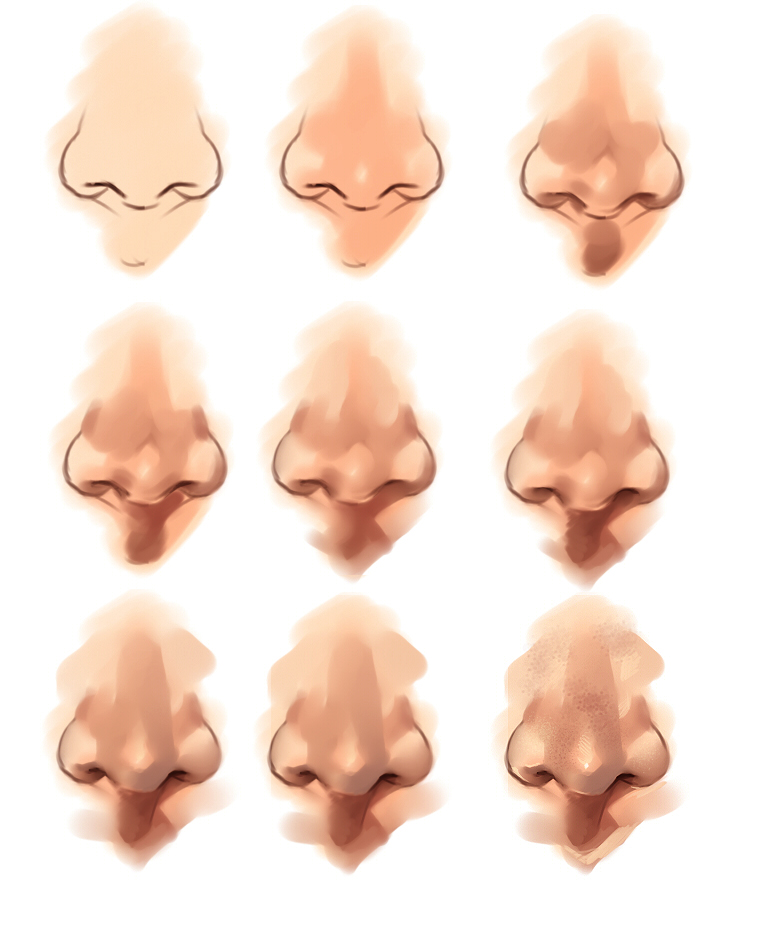 Nose tutorial
