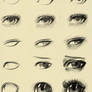 Eyes reference