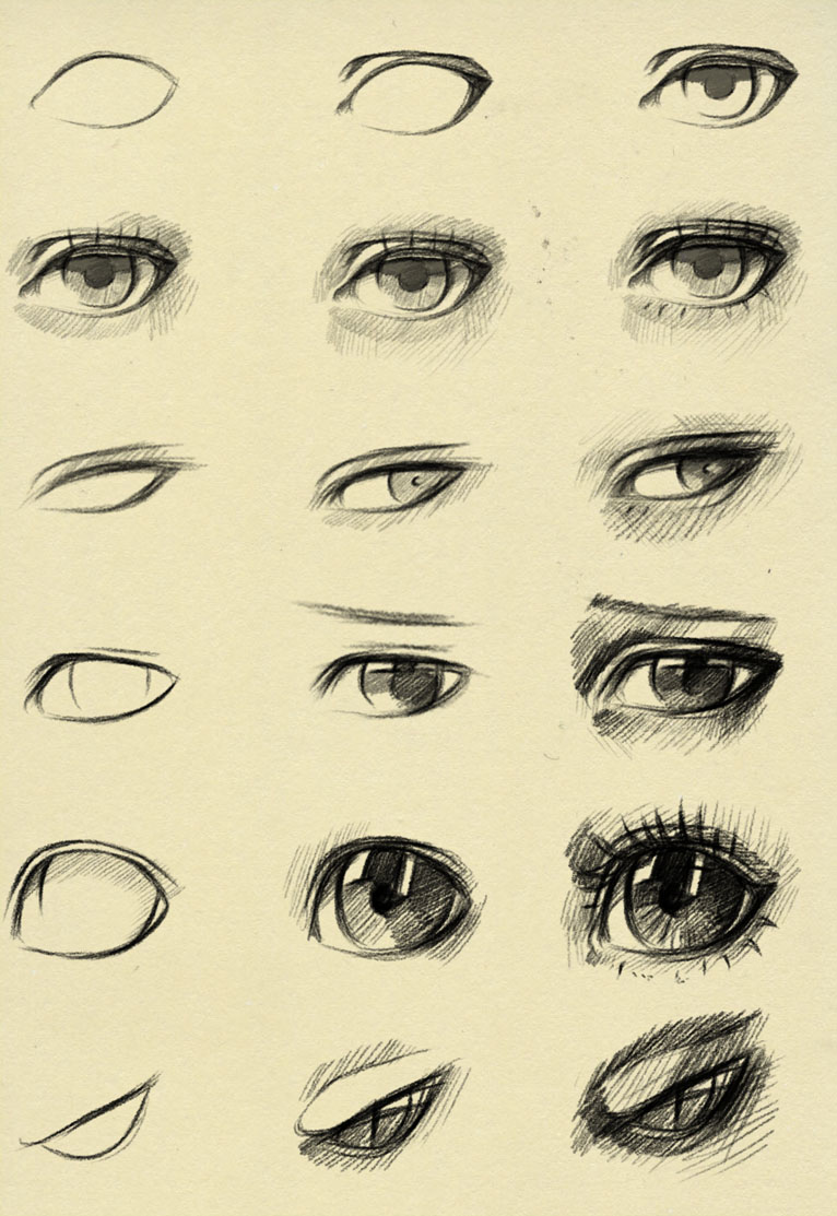 Eyes reference
