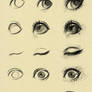 eyes reference 2
