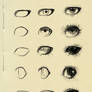 eyes reference 3