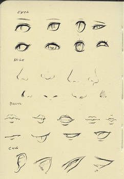 Reference (eyes,nose,mouth,ear)