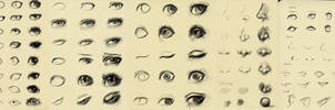 Eyes Reference 3 By Ryky On Deviantart Eyes Reference 3 By Ryky On Deviantart