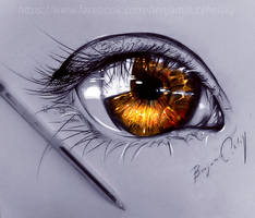 EYES NEVER LIE