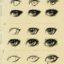 eyes step by step reference