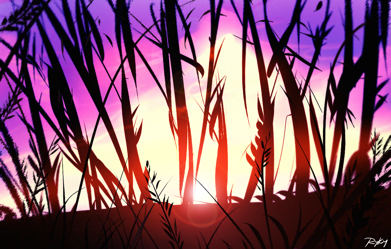 Sunset  (10 min speedpainting )