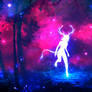 In the Woods