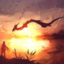 Follow the Sun