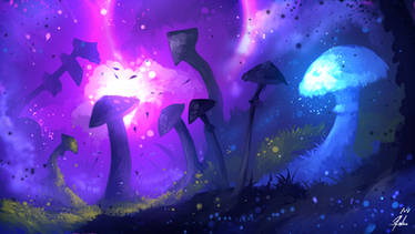 Mushrooms Forest