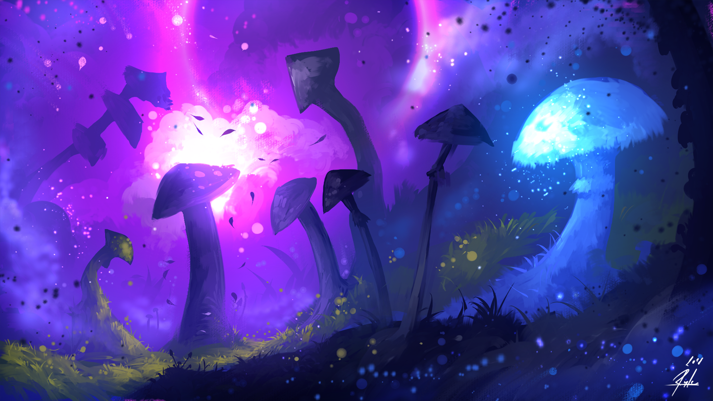 Mushrooms Forest