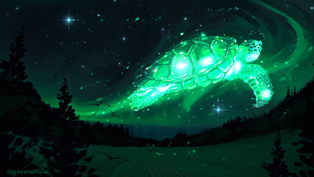 Aurora Turtle