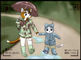 Cats In Raincoats By Katerintin Jlcolor