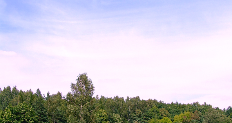 DSCF6190