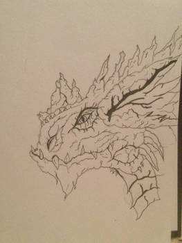 Portrait of a dragon