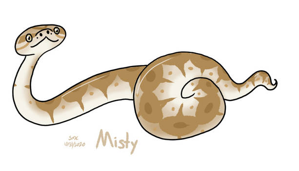 ball python Misty