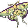 magic moth magic moth