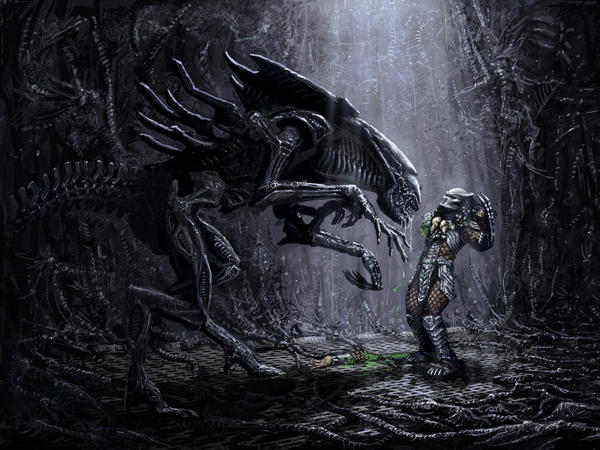 Aliens vs Predator wallpaper by ethaclane on DeviantArt