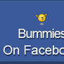 bummies on facebook