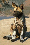 Pixel Project:African Wild Dog by ClemiKinkajou