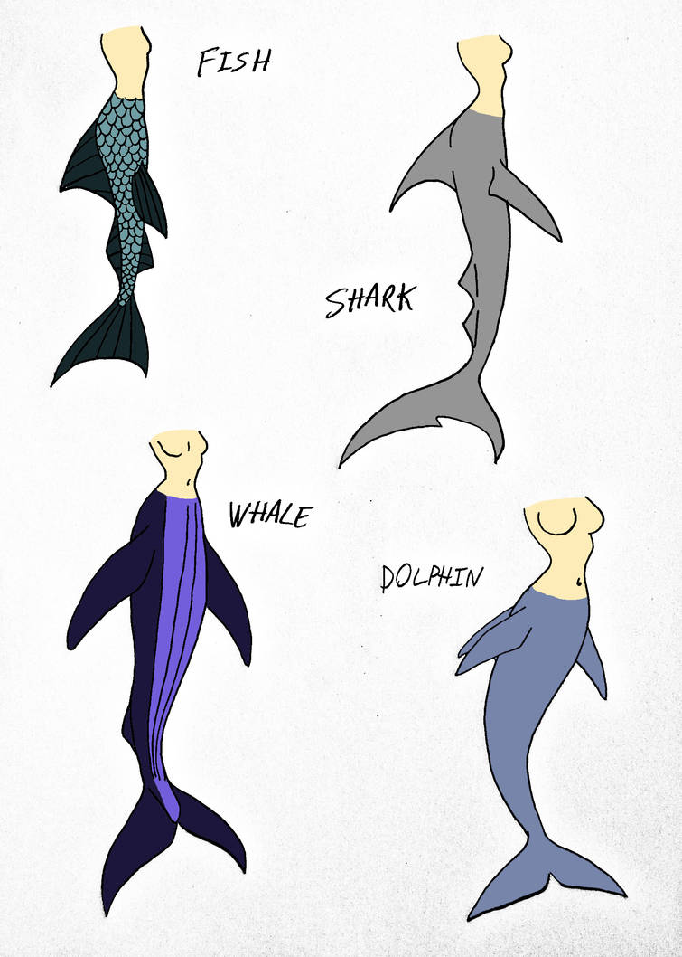 Guide to properly drawing mermaids Pg.11 by Jakegothicsnake on DeviantArt