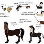 Onocentaurs and Hippocentaurs Differences