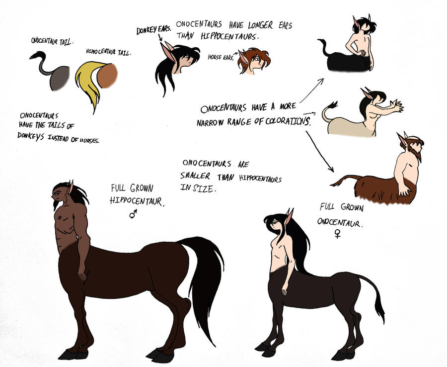 hippocentaurs differences