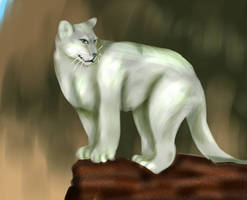 YCH Mountain Lion