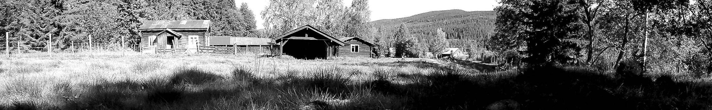 The Small Buildings