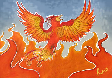 Harry Potter Phoenix Gift Art