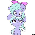 Filly Flitters and Cloudie.